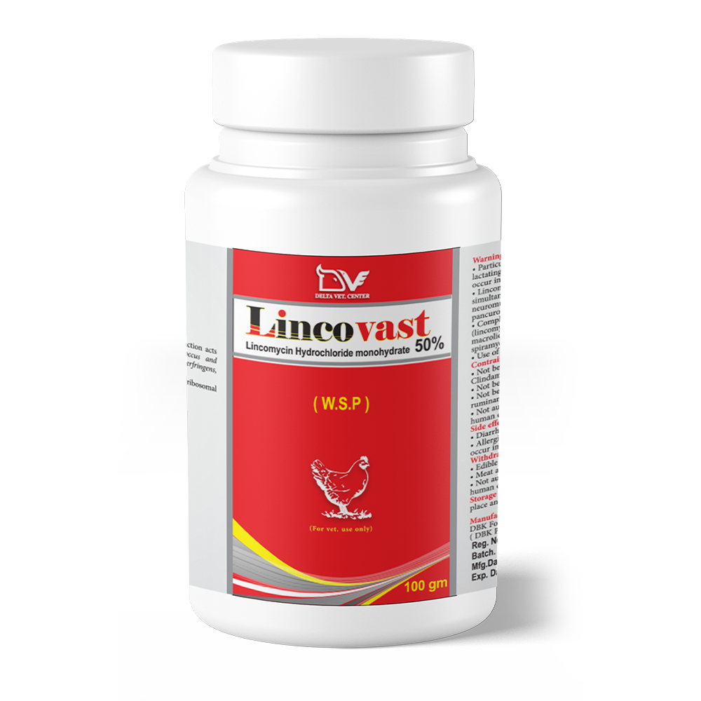 Lincovast